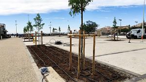 Cap Agde - Mole -10 juin 2024 - 04